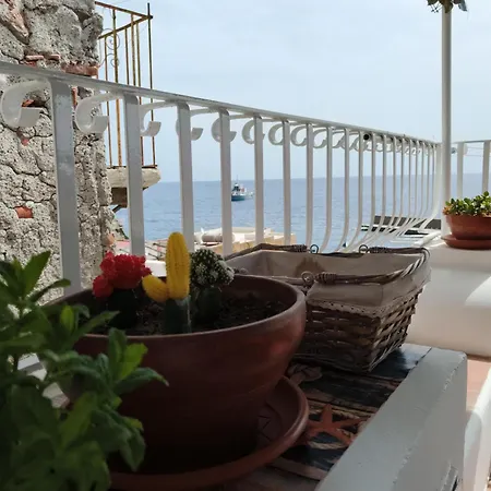 Bed & Breakfast Ventura